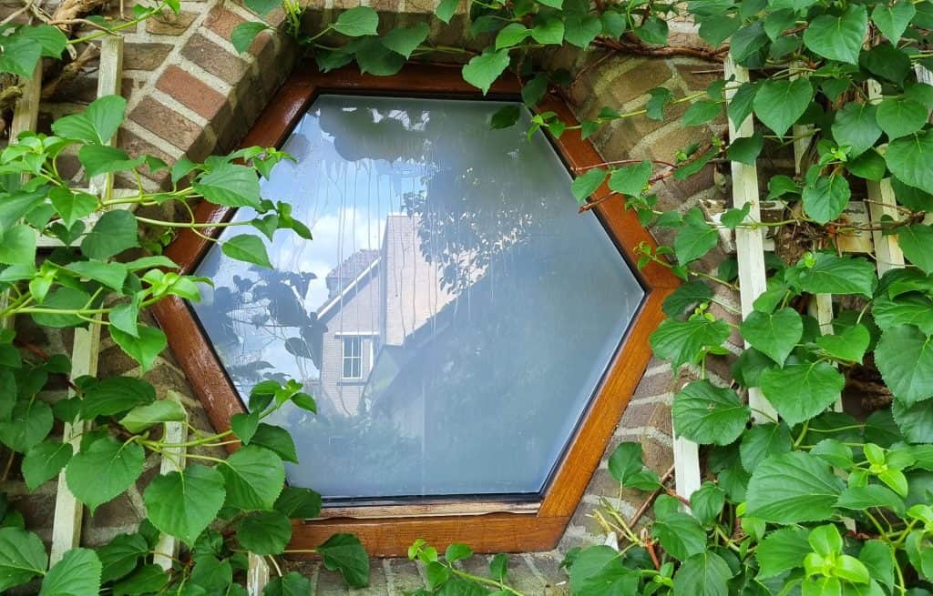 Elegant hexagonale dakraam met houten frame, geïnstalleerd in een bakstenen muur en omgeven door groene klim- en bladplanten voor natuurlijke decoratie.